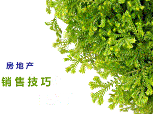 房地产销售技巧.ppt