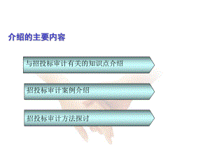 招投标审计关注事项.ppt