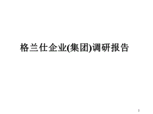 格兰仕战略调查报告.ppt