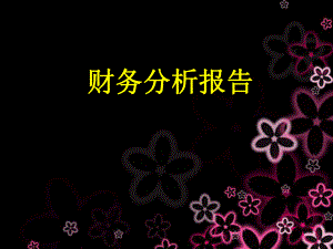 新海尔财务分析.ppt