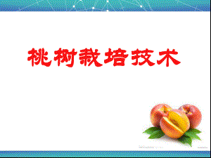 桃树栽培技术.ppt