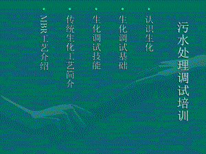 污水处理调试培训.ppt