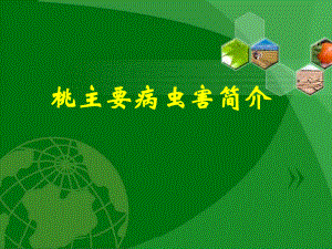 桃主要病虫害.ppt
