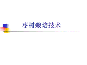 枣树栽培技术.ppt