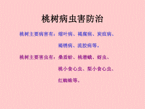 桃树病虫害防治技术.ppt