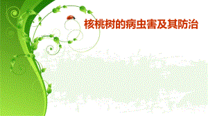 核桃树的病虫害与防治.ppt