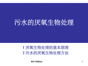 污水的厌氧生物处理.ppt