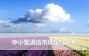 汉庭市场定位分析(市场营销).ppt