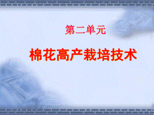棉花高产栽培技术.ppt