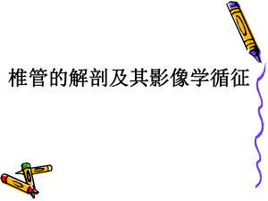椎管的解剖及其影像学循征.ppt
