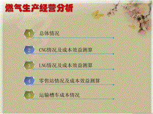 燃气公司财务分析.ppt