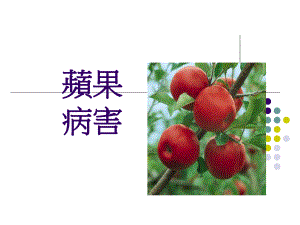 烟台苹果病虫害.ppt