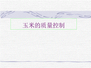 玉米的质量控制.ppt