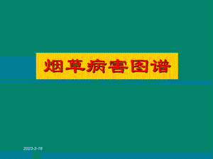 烟草病虫害及缺素症图谱.ppt