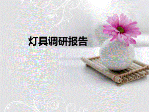 灯具调研报告..ppt