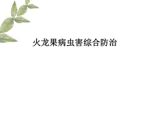 火龙果病虫害.ppt