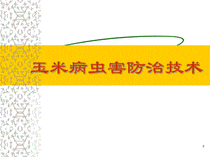 玉米病虫害防治(1208修改).ppt