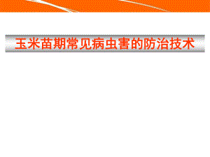玉米苗期常见病虫害防治.ppt
