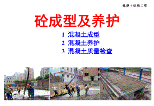 混凝土成型及养护.ppt
