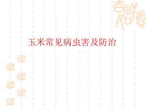 玉米常见病虫害及防治.ppt