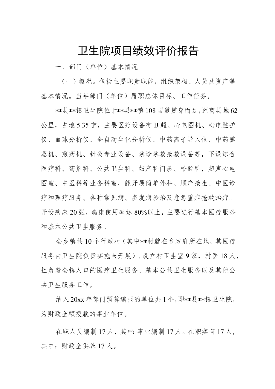 卫生院项目绩效评价报告.docx_第1页