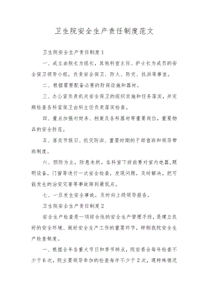 卫生院安全生产责任制度范文.docx