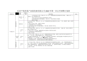 长沙产投泽禹产业园发展有限公司2023年第一次公开招聘计划表.docx