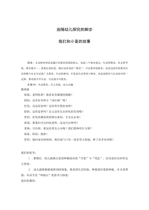 追随幼儿探究的脚步——我们和小麦的故事 论文.docx