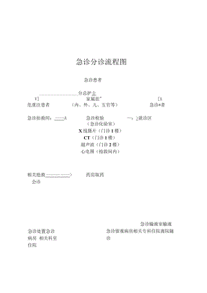 某某医院急诊分诊流程图（可自行调整）.docx