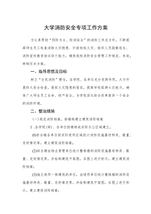 大学消防安全专项工作方案.docx
