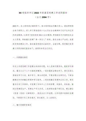 XX党组织书记2022年抓基层党建工作述职报告（全文2994字）.docx