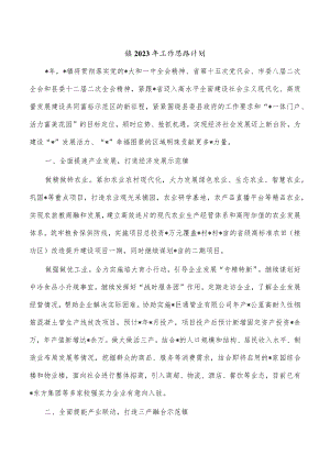 镇2023年工作思路计划.docx