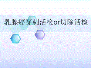 乳腺癌穿刺活检or切除活检.ppt