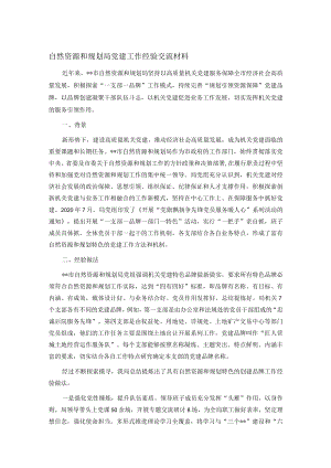 自然资源和规划局党建工作经验交流材料.docx