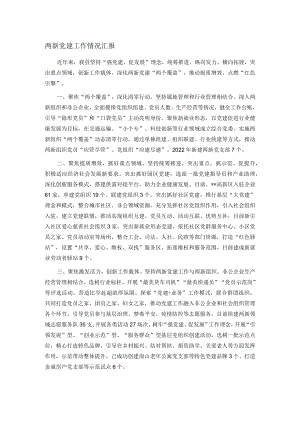 两新党建工作情况汇报.docx
