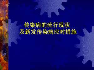 传染病流行现状及新发传染病应对措施.ppt