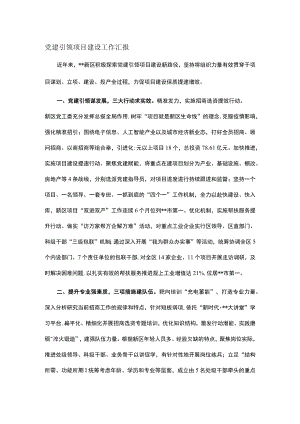 党建引领项目建设工作汇报.docx