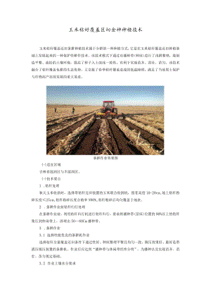 玉米秸秆覆盖还田条耕种植技术.docx