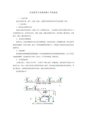 玉米宽窄行交替休闲种植技术.docx