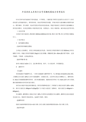 半湿润区玉米秸秆全量深翻还田地力保育技术.docx