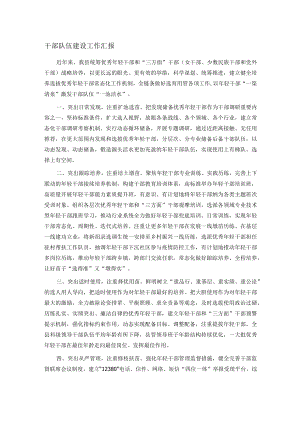 干部队伍建设工作汇报.docx