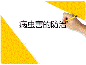 病虫害的防治.ppt
