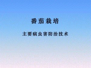 番茄病虫害防治.ppt