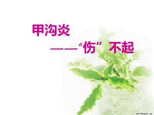 甲沟炎健康教育.ppt