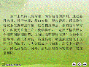 甜瓜病虫害防治技术...ppt