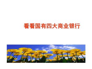 看看国有四大商业银行.ppt