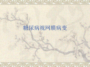 糖尿病视网膜病变.ppt