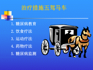 糖尿病的治疗原则.ppt