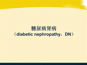 糖尿病肾病幻灯.ppt
