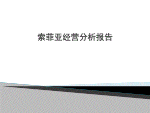 索菲亚经营分析报告.ppt